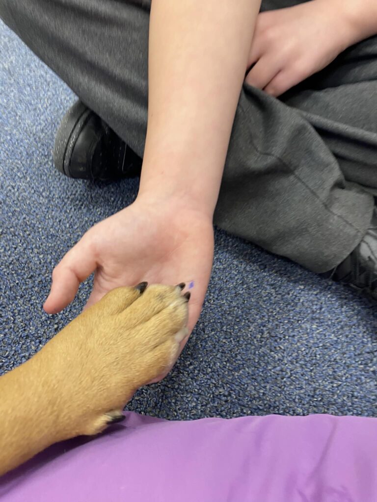 therapy dog with client